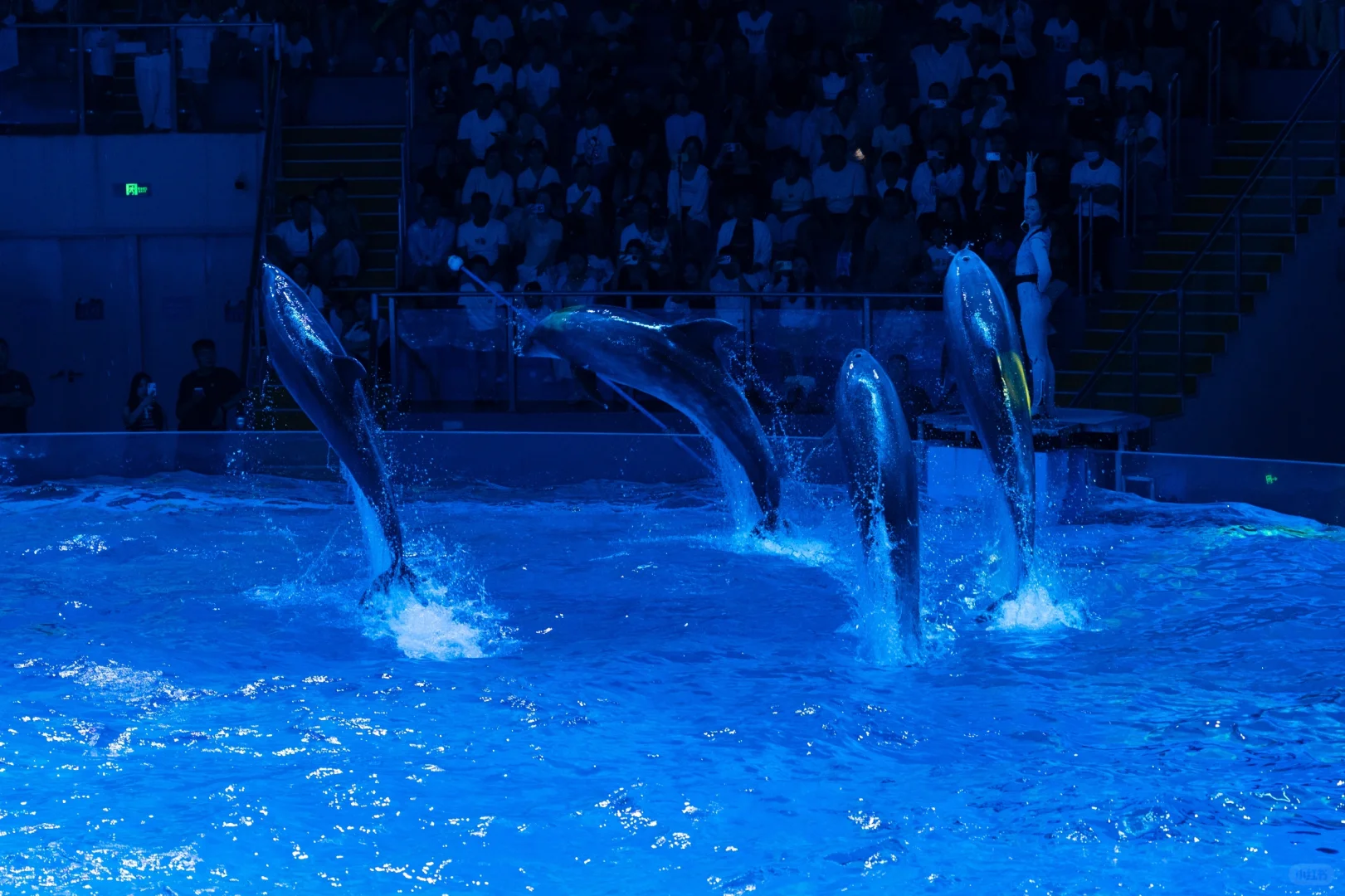 郑州海昌，五星好评