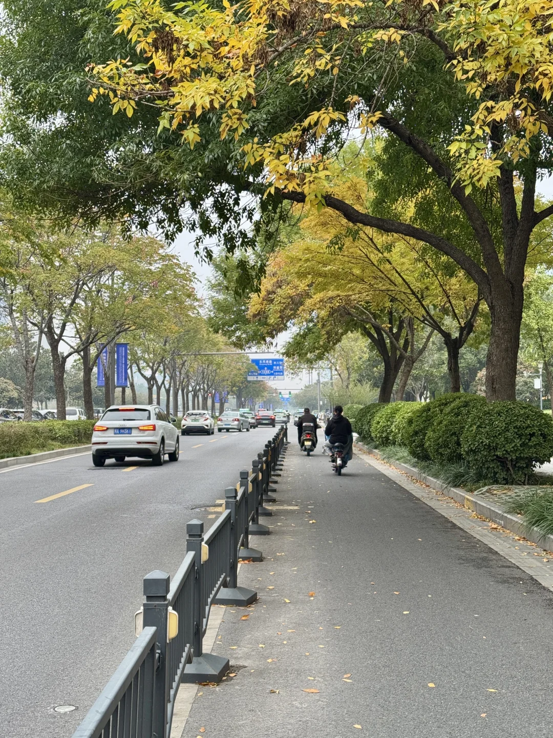 郑州不愧是北方第一省会，城建品质越来越好！