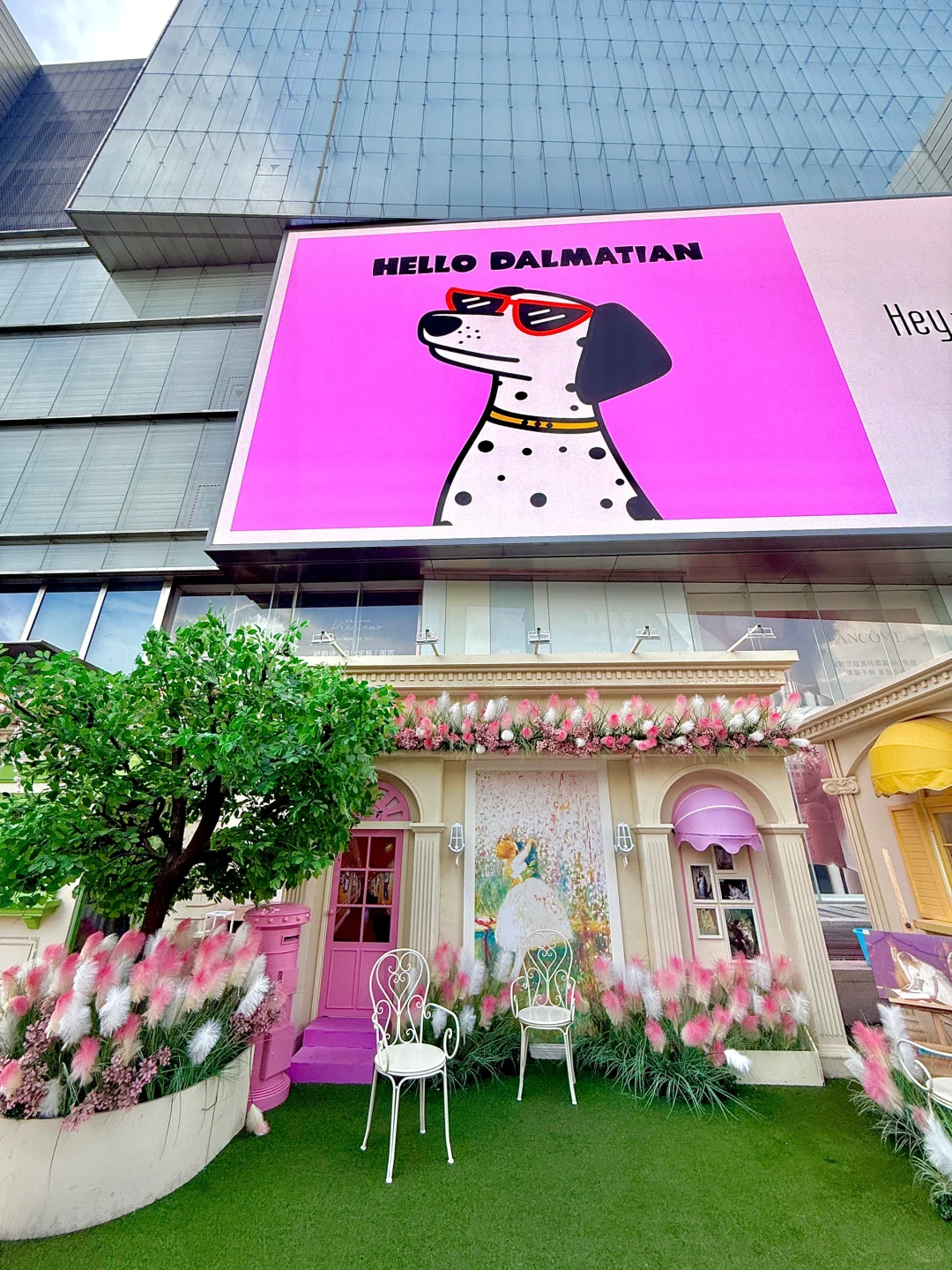 人在郑州！没出国！！太美了