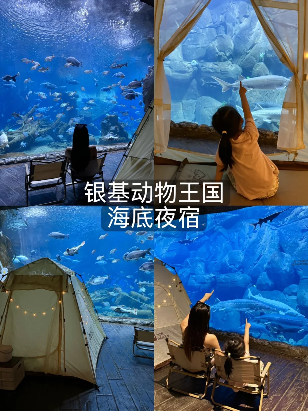 来郑州看这一篇就够了！！（本地人版🤬！