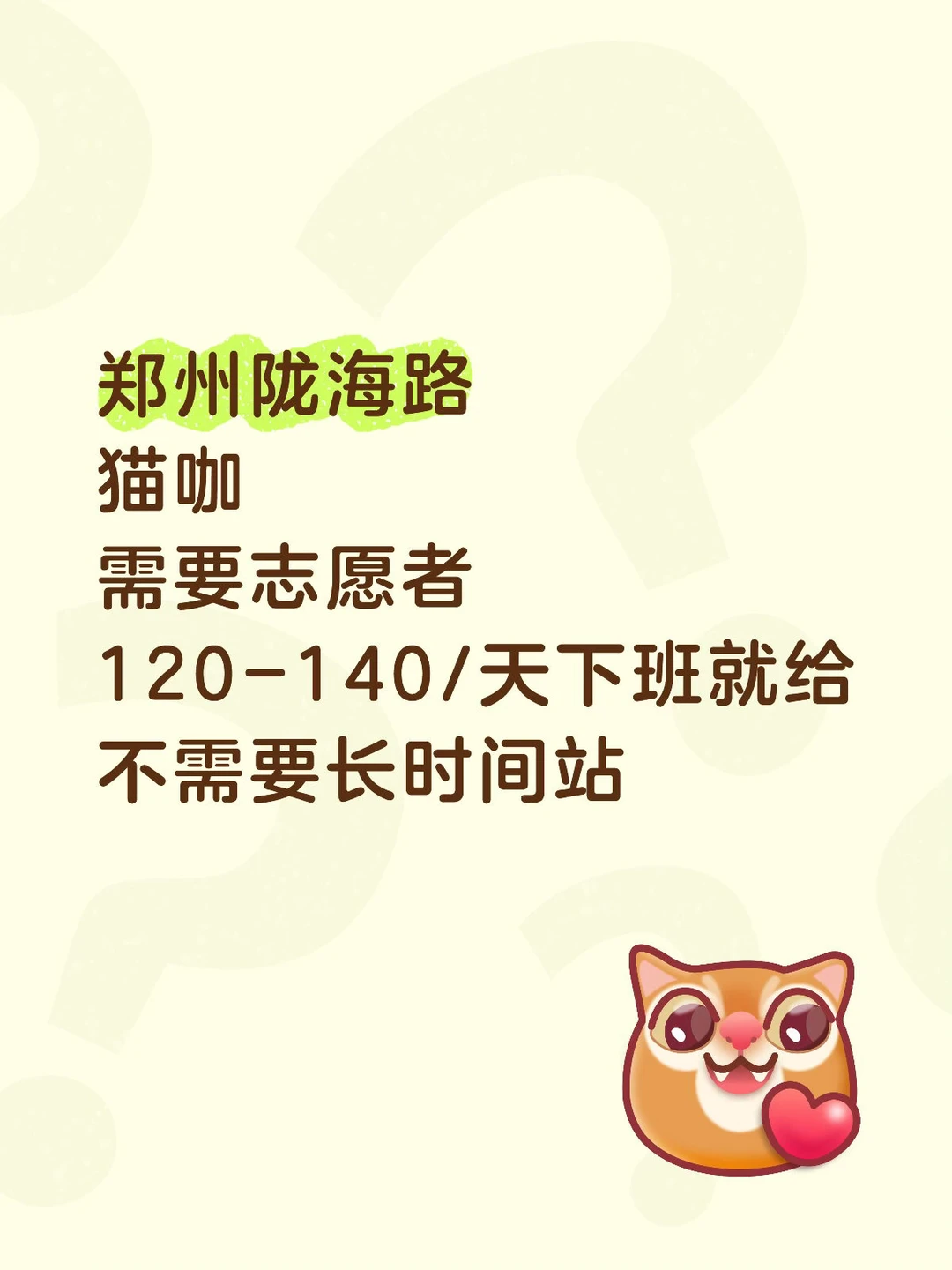 🐱郑州猫咖志愿者招募 | 撸猫赚钱两不误