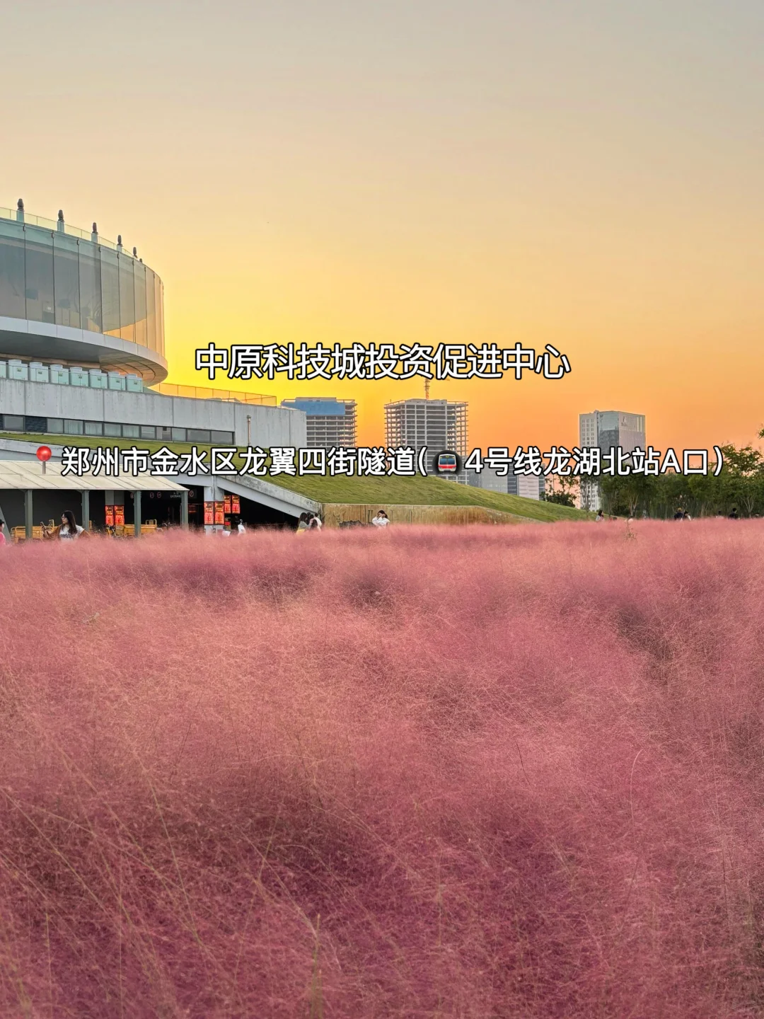 赏秋指南🍂在郑州必逛的12个秋日好去处‼️