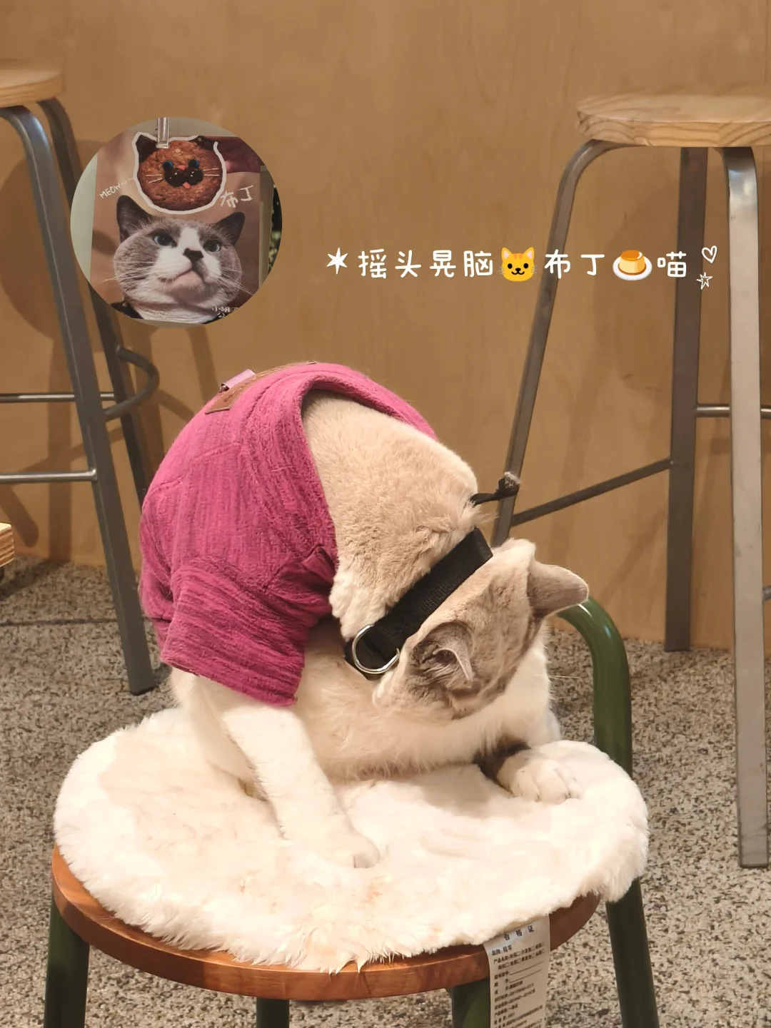 旅行plog🏮洛阳篇:一个人的走走停停