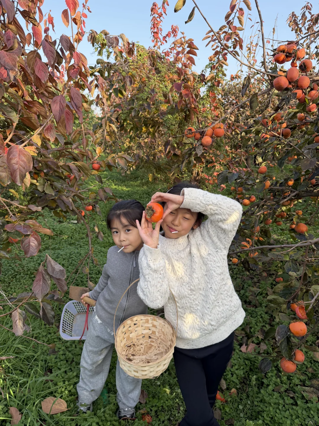 洛阳这个地方也太适合遛娃了吧！