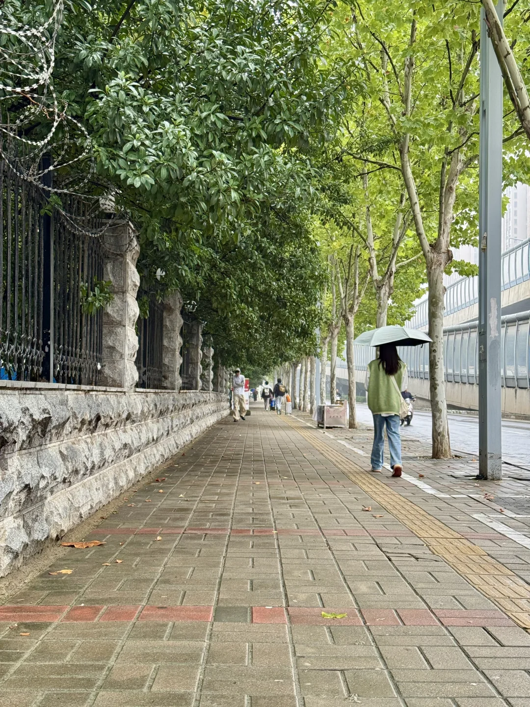 今天冒着雨拍郑州街景，风景不输江南！