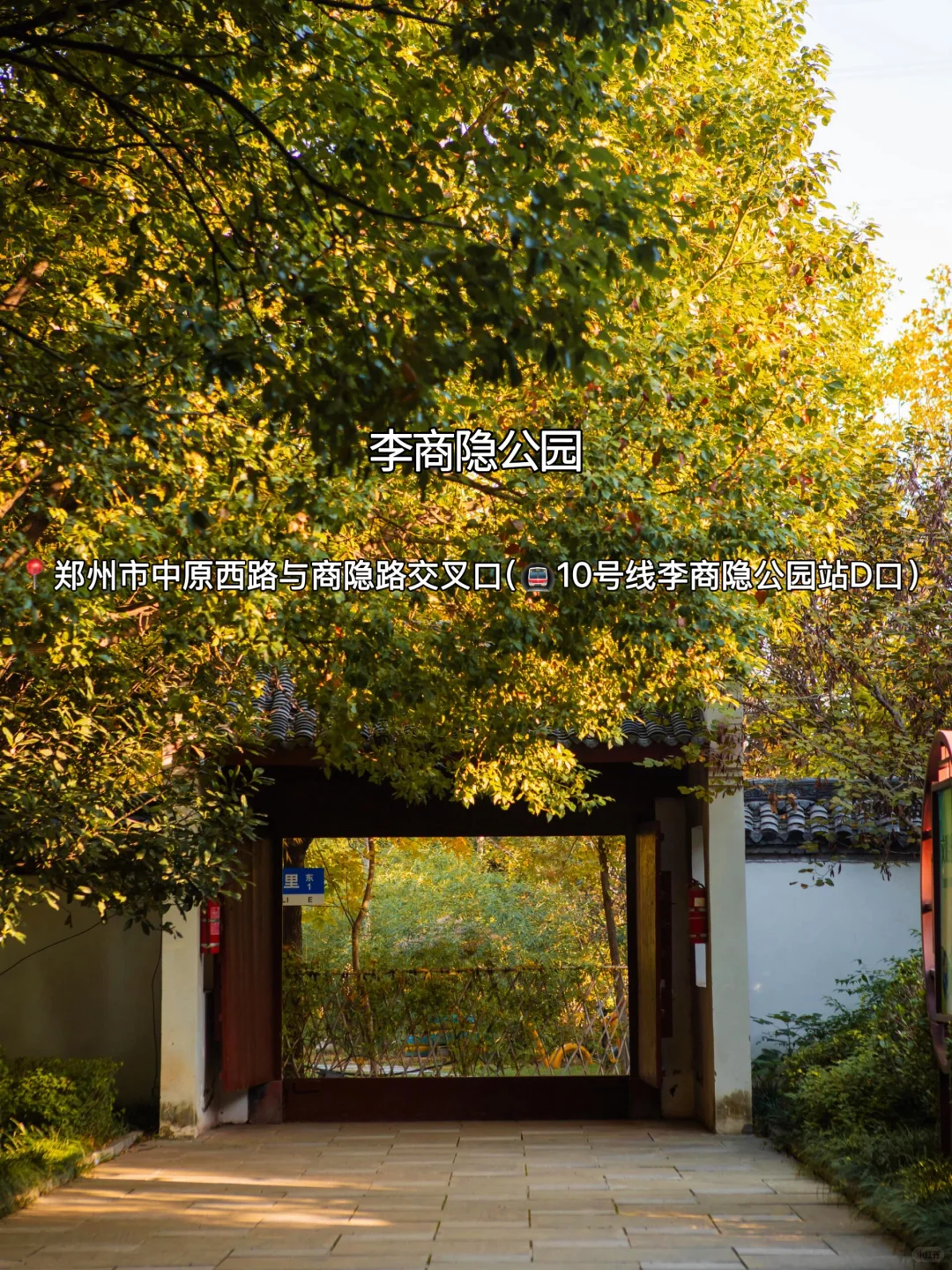 赏秋指南🍂在郑州必逛的12个秋日好去处‼️