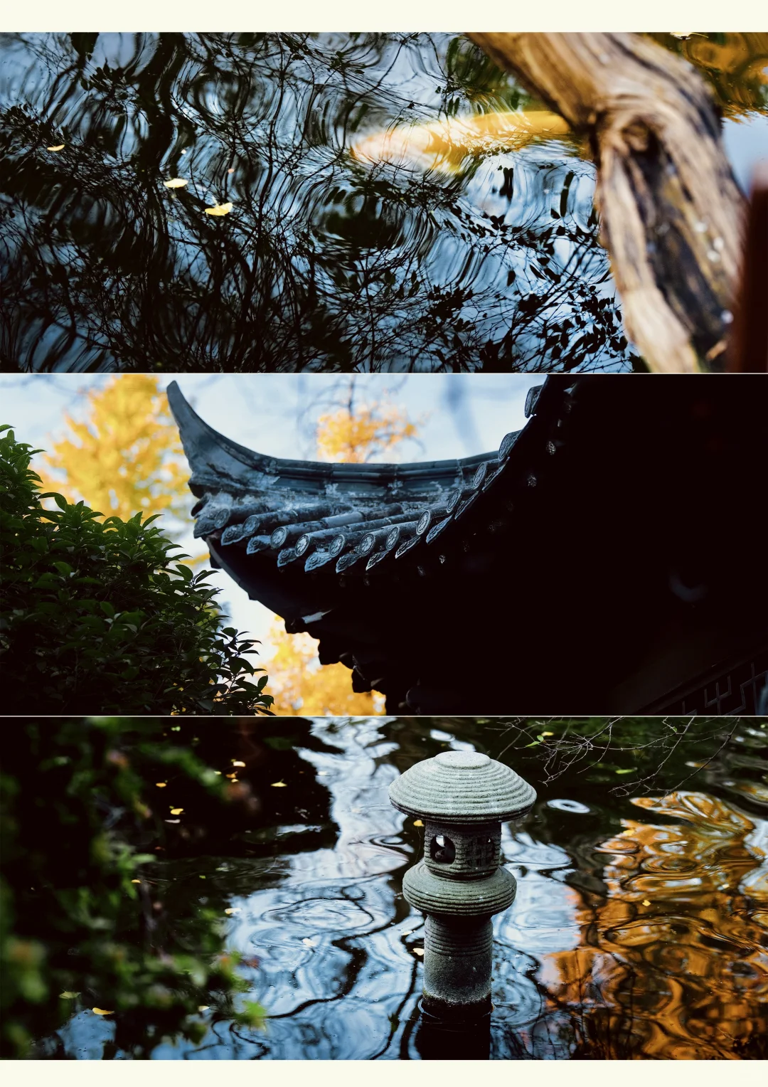 初冬时光，郑州梦溪园