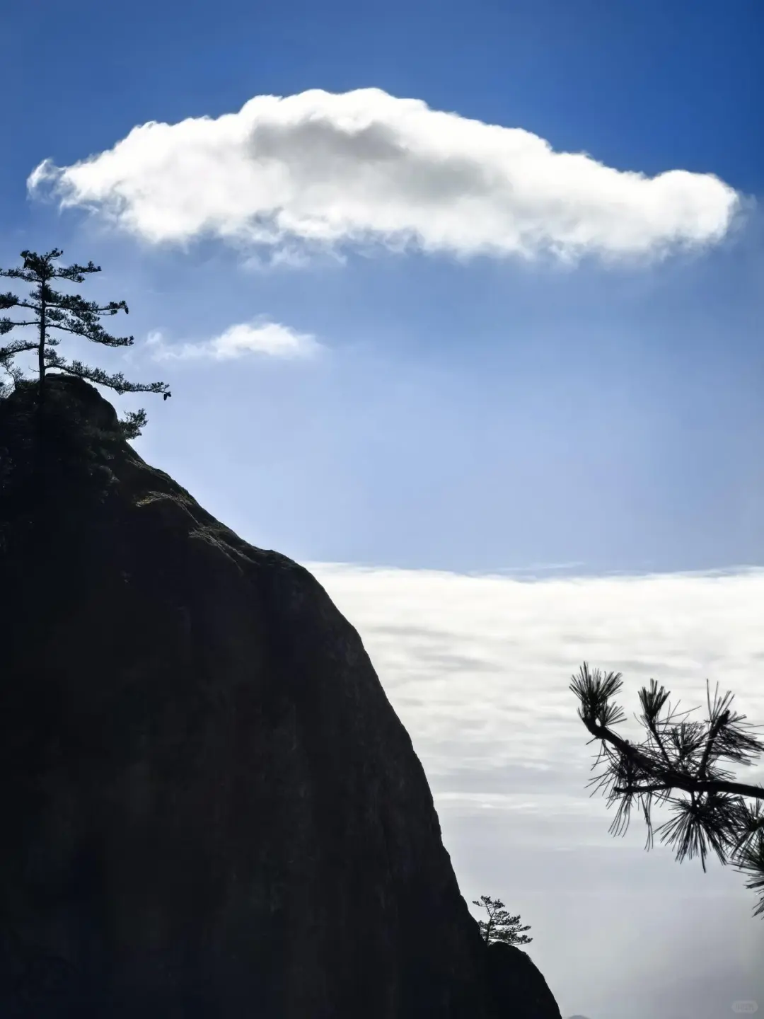 洛阳丝滑不排队攻略