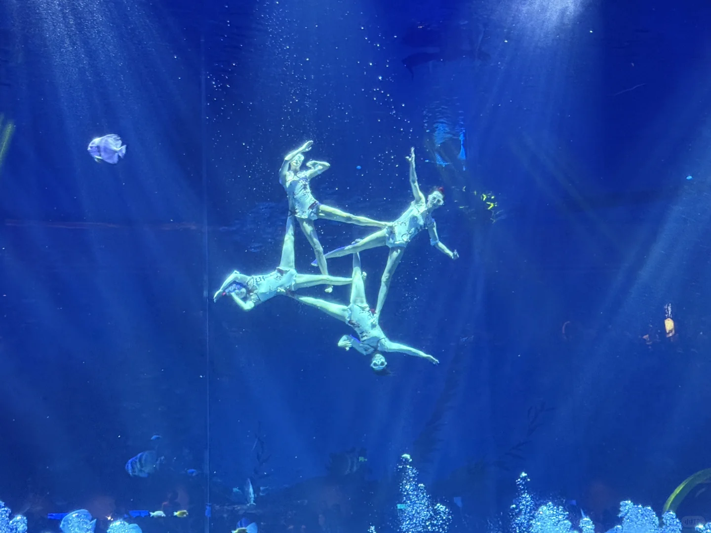 郑州海昌，五星好评