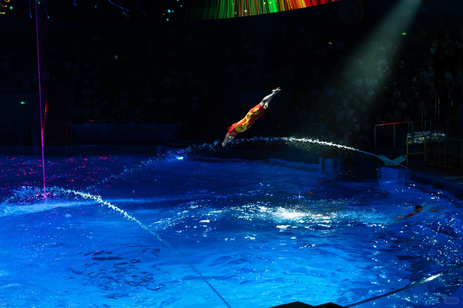 郑州海昌，五星好评