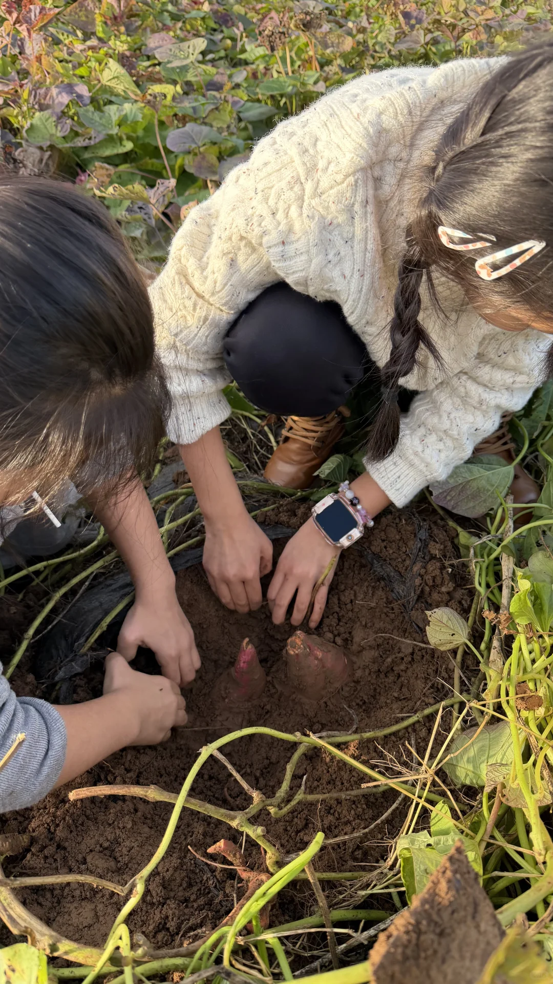 洛阳这个地方也太适合遛娃了吧！
