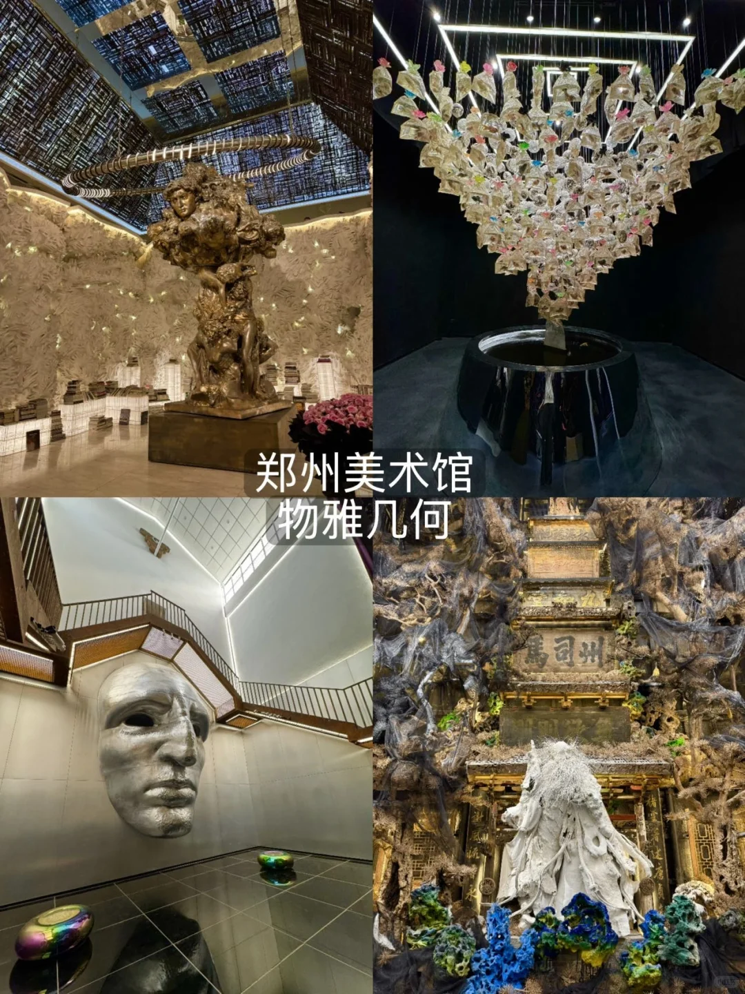 来郑州看这一篇就够了！！（本地人版🤬！