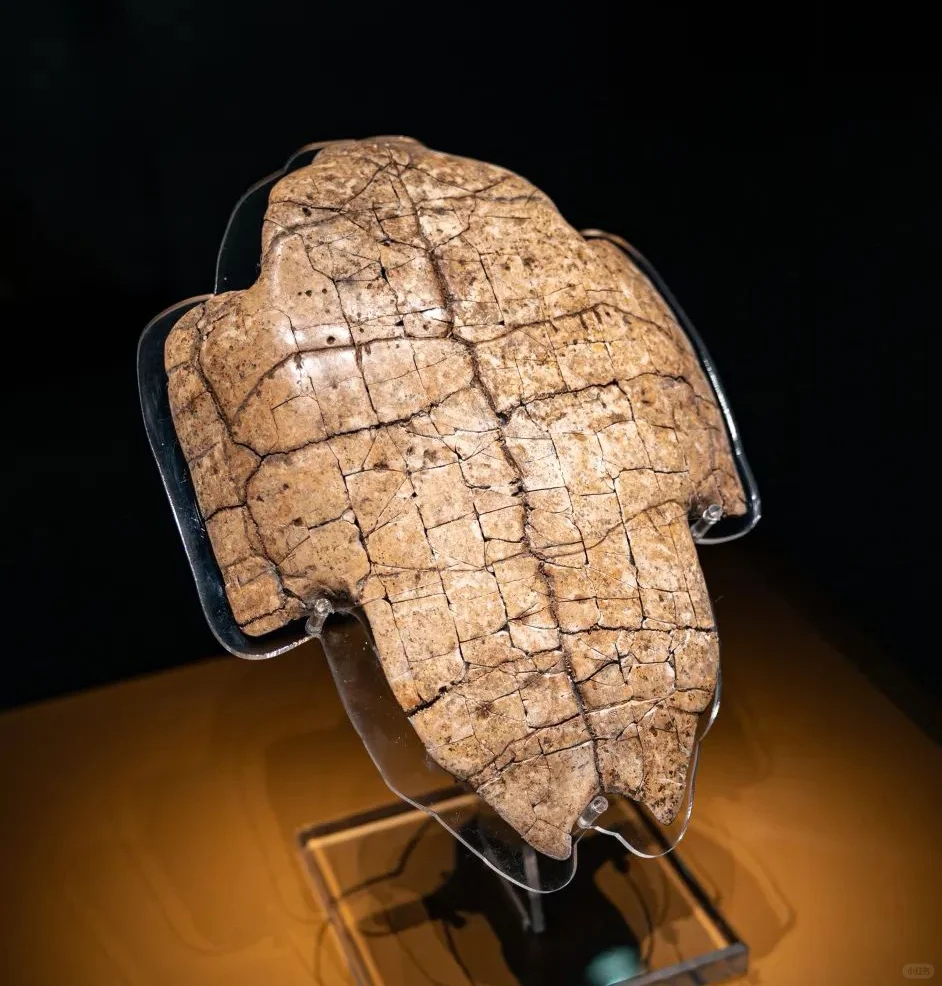 安阳：见过这样的指示牌吗？古迹遍地