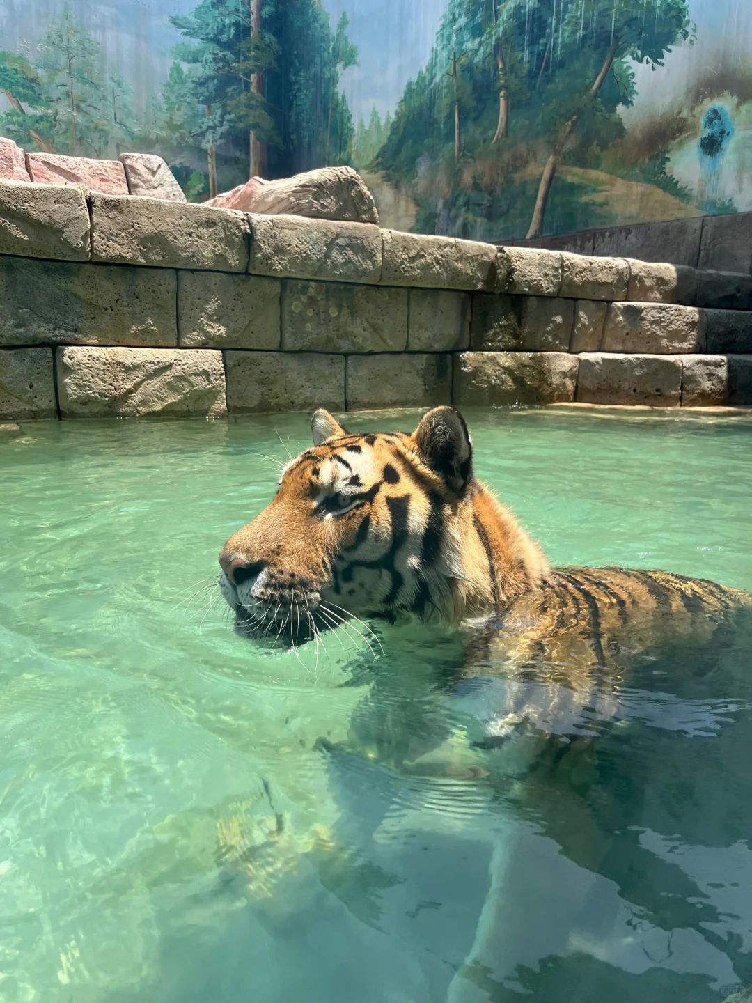 🔥郑州银基动物王国｜暴走2万步总结！