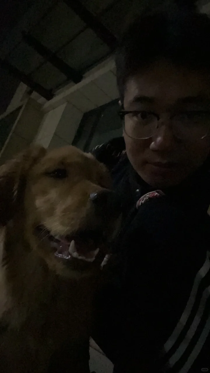 郑州真诚找对象