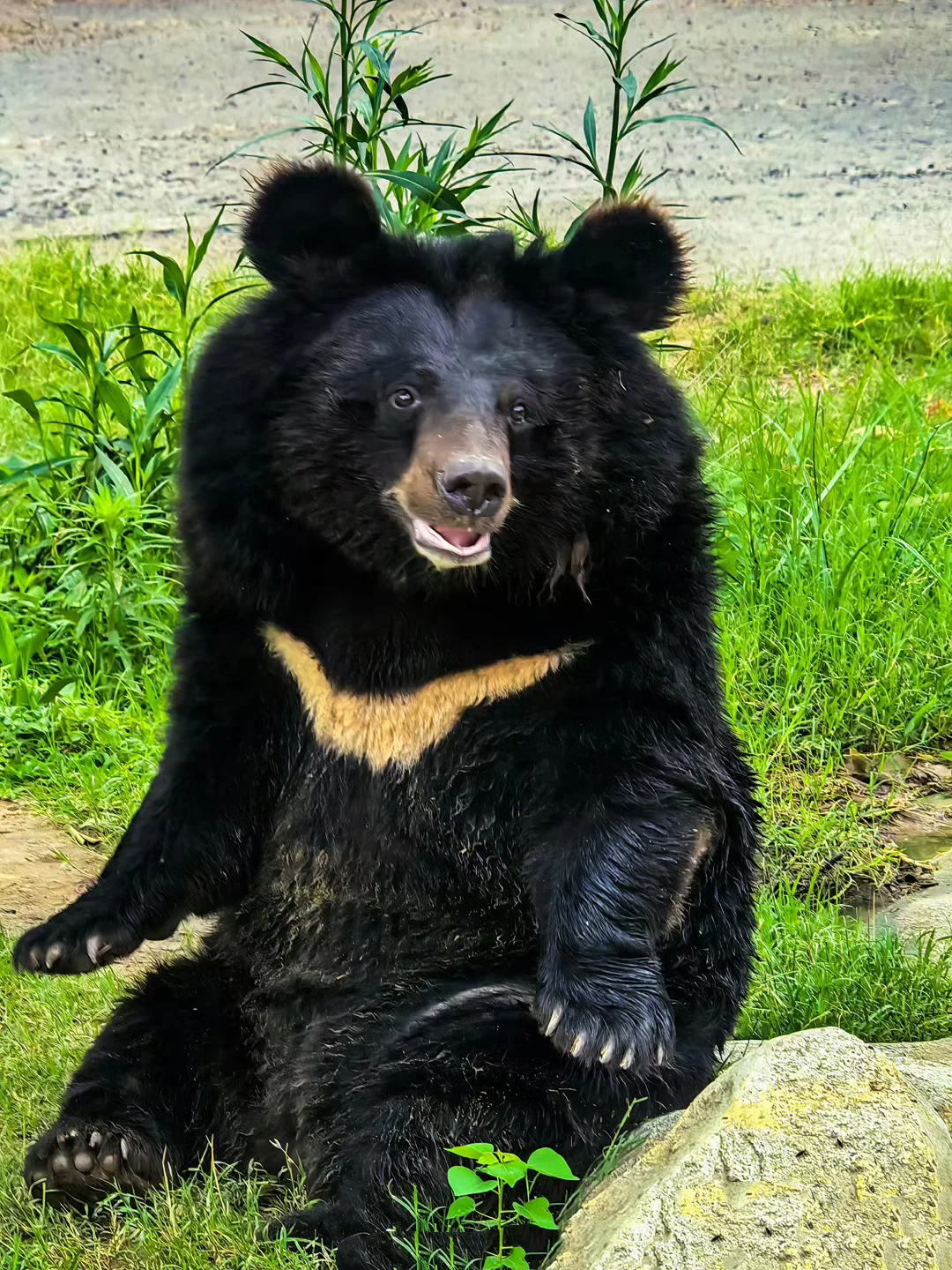 ²⁰²⁵/₀₆.₂₇ 📍郑州🚄