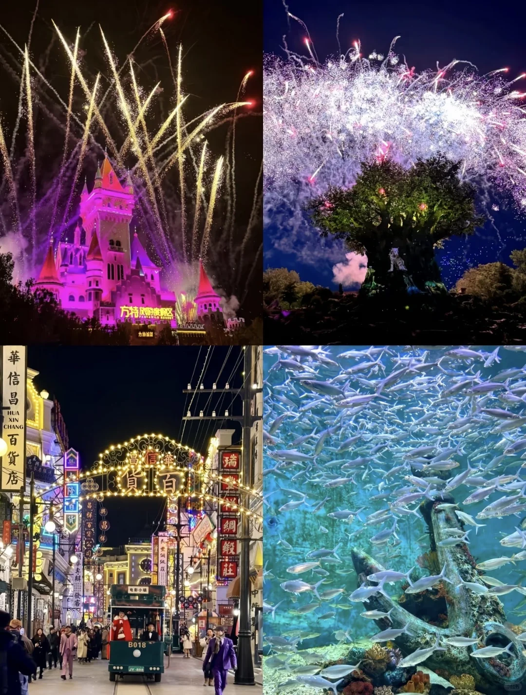 郑州洛阳三日游攻略