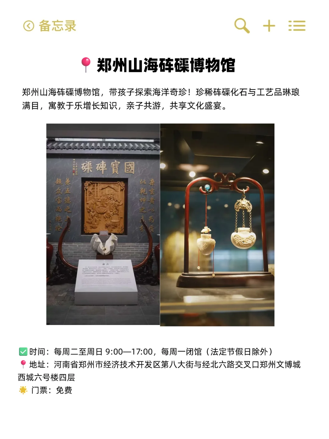 郑州地铁直达！适合一个人逛的6个免费场馆