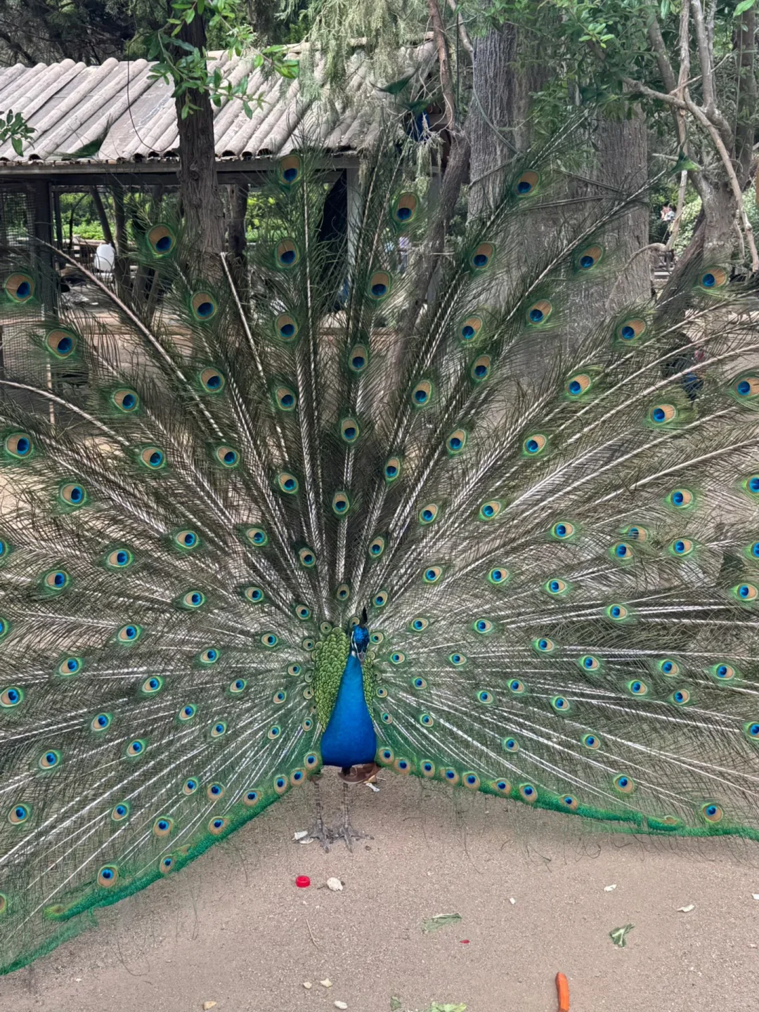 📍郑州| 随心所“豫” 这一刻在郑州💛