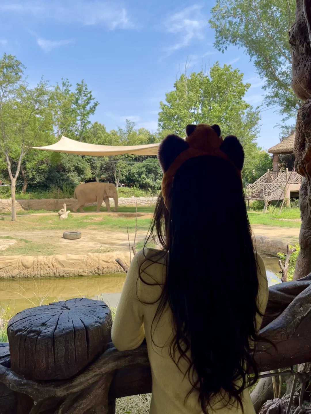 🔥郑州银基动物王国｜暴走2万步总结！