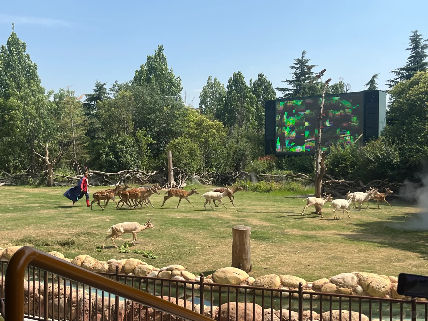 🔥郑州银基动物王国｜暴走2万步总结！