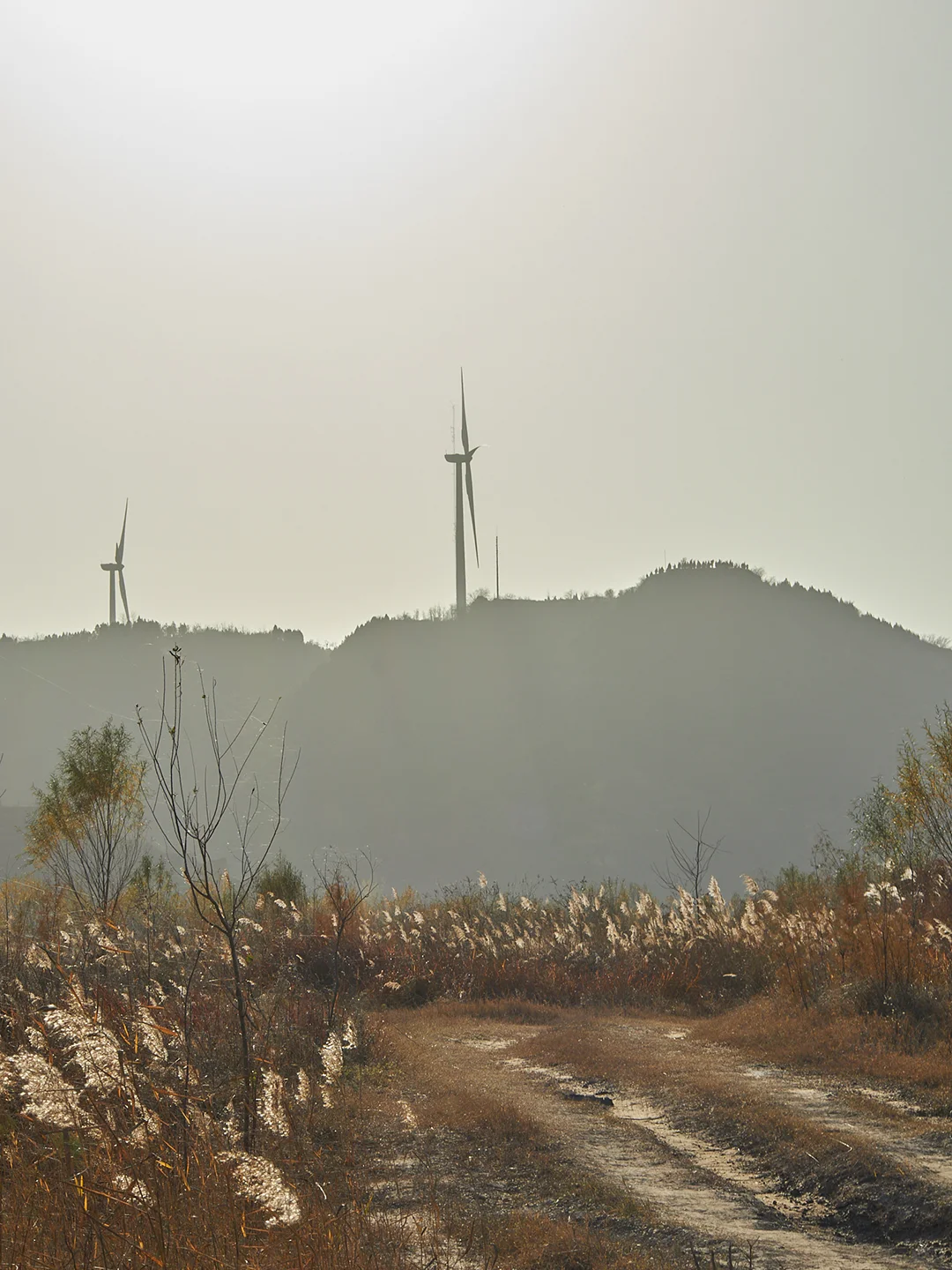 在郑州，来这里肆意感受旷野的风和自由