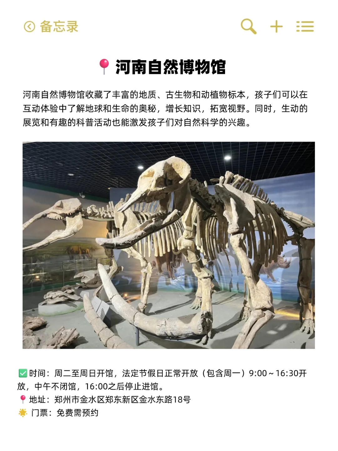 郑州地铁直达！适合一个人逛的6个免费场馆