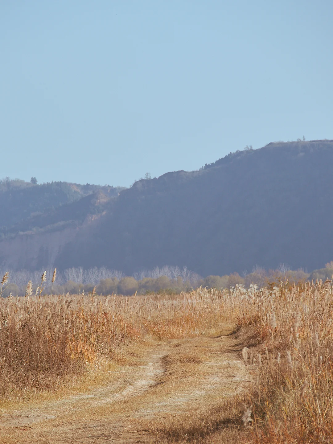 在郑州，来这里肆意感受旷野的风和自由