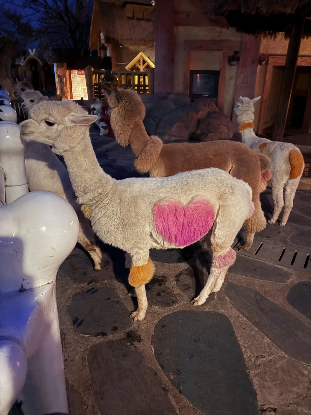 强烈推荐银基动物王国！！！