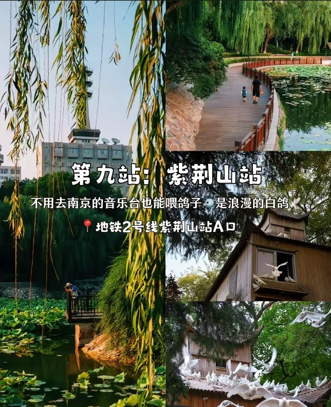 郑州两天一夜攻略｜穿越古今简直太绝了！