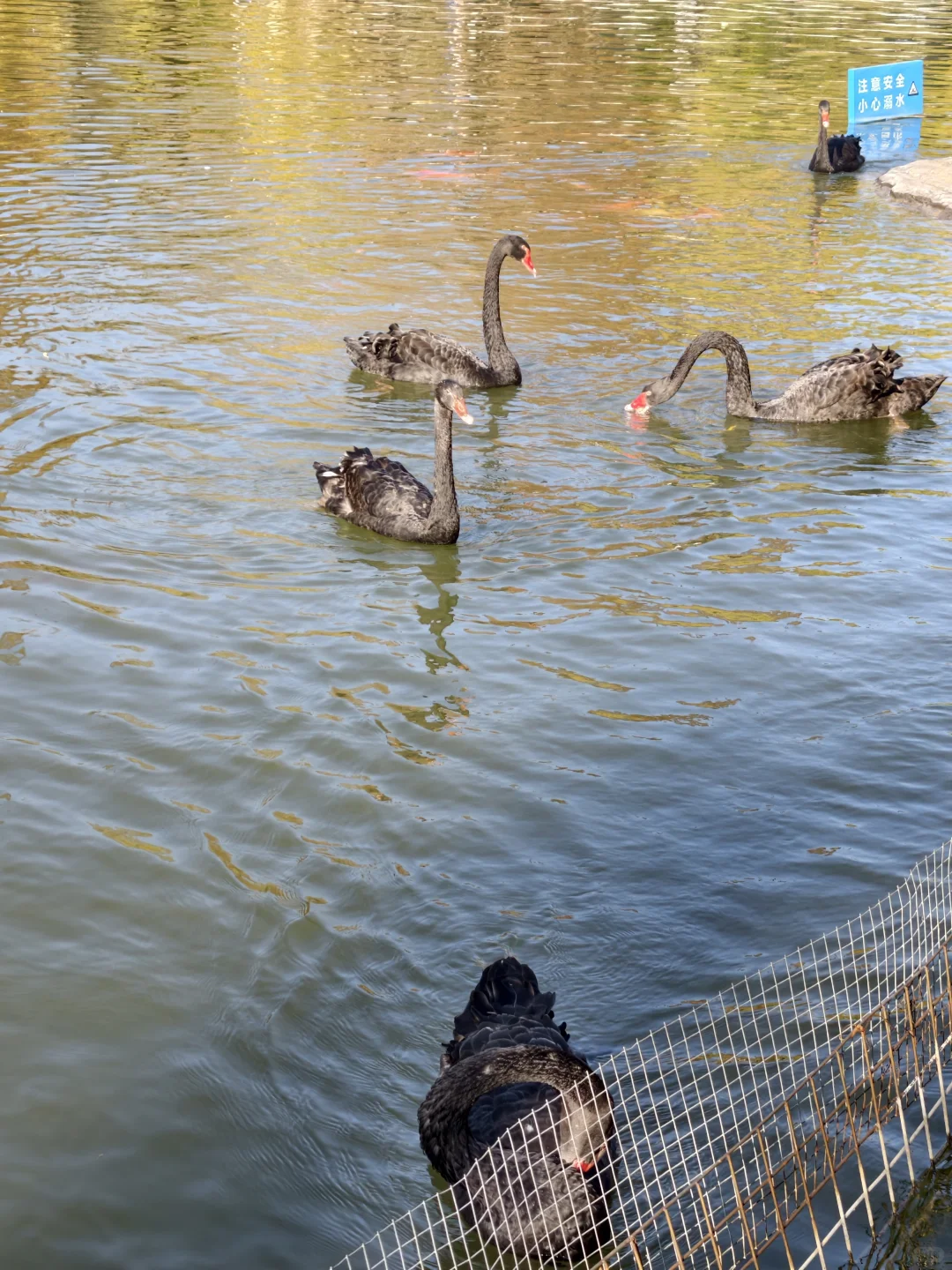 真的很喜欢郑州🥰