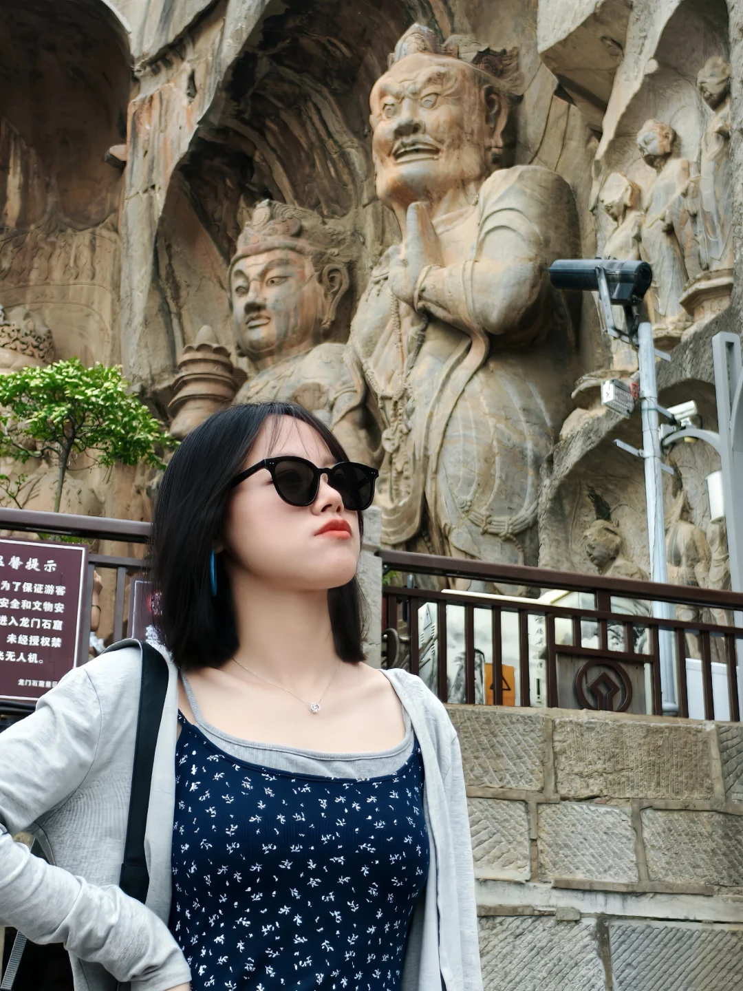 关于郑州和洛阳，我有些话想说