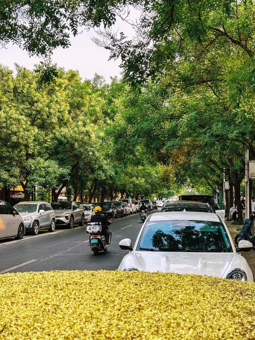 到欧洲了，跟郑州似的..