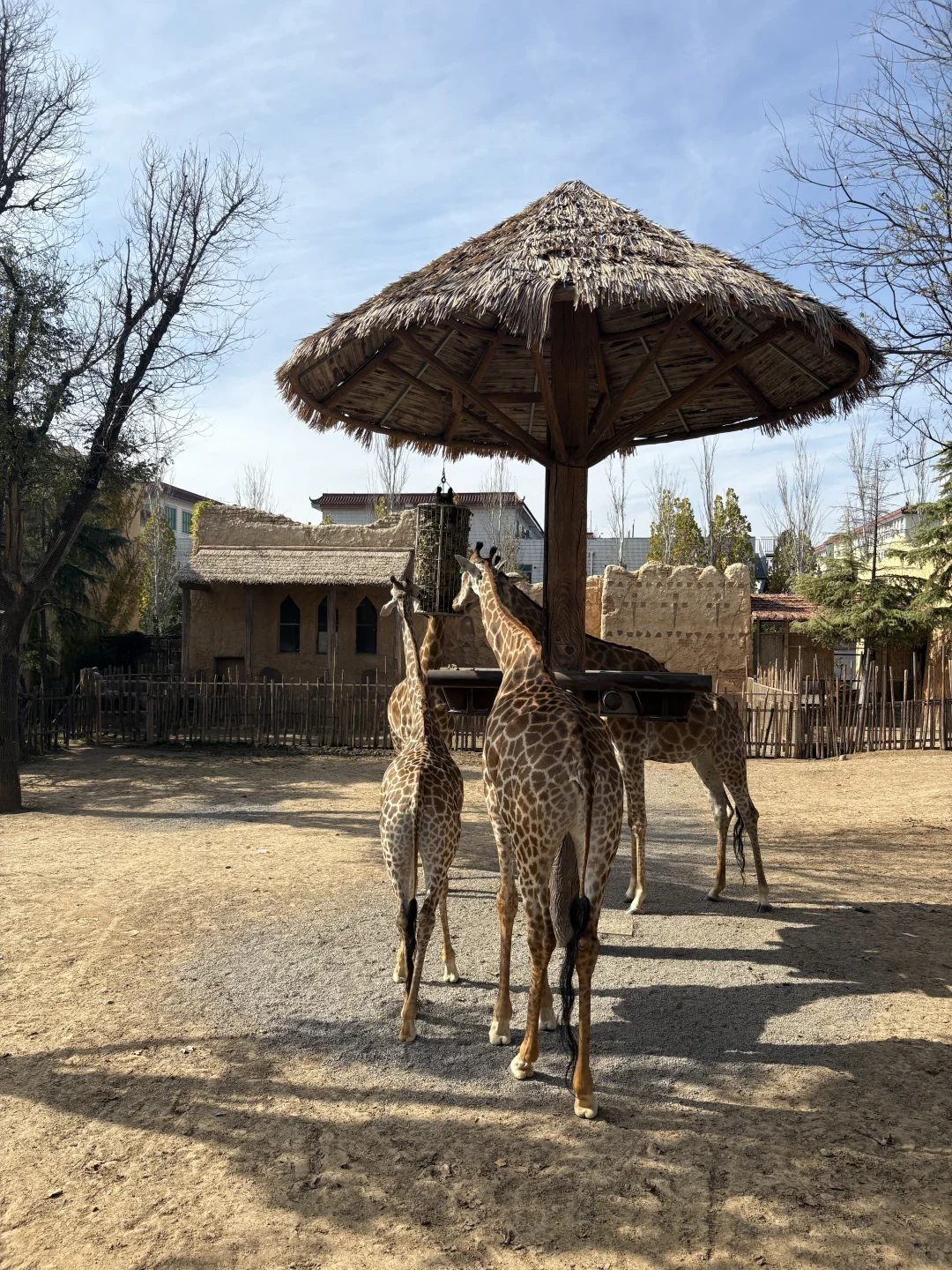 强烈推荐银基动物王国！！！