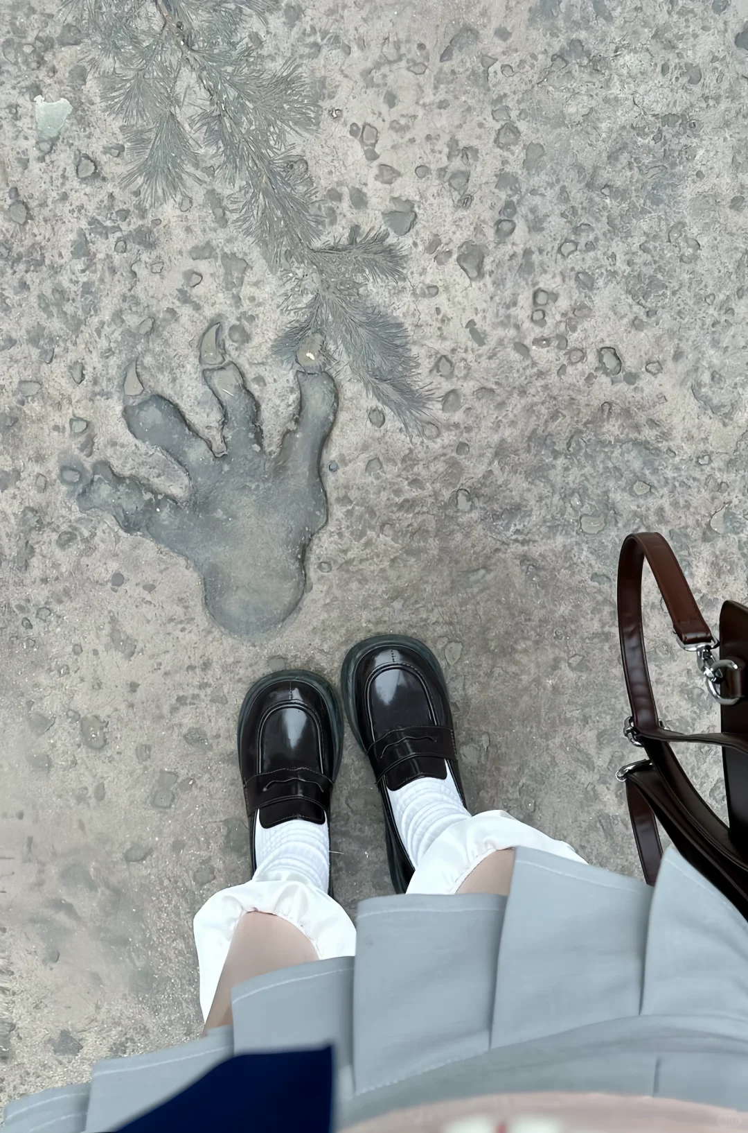 📍银基 不愧是郑州迪士尼‼️