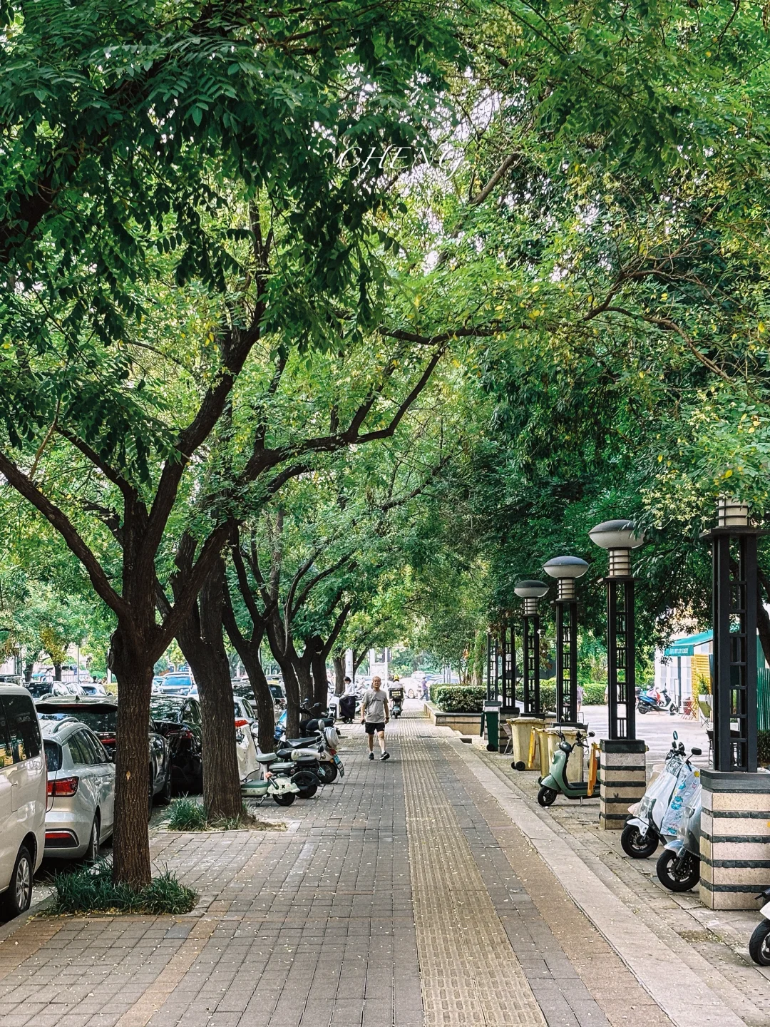 到欧洲了，跟郑州似的..