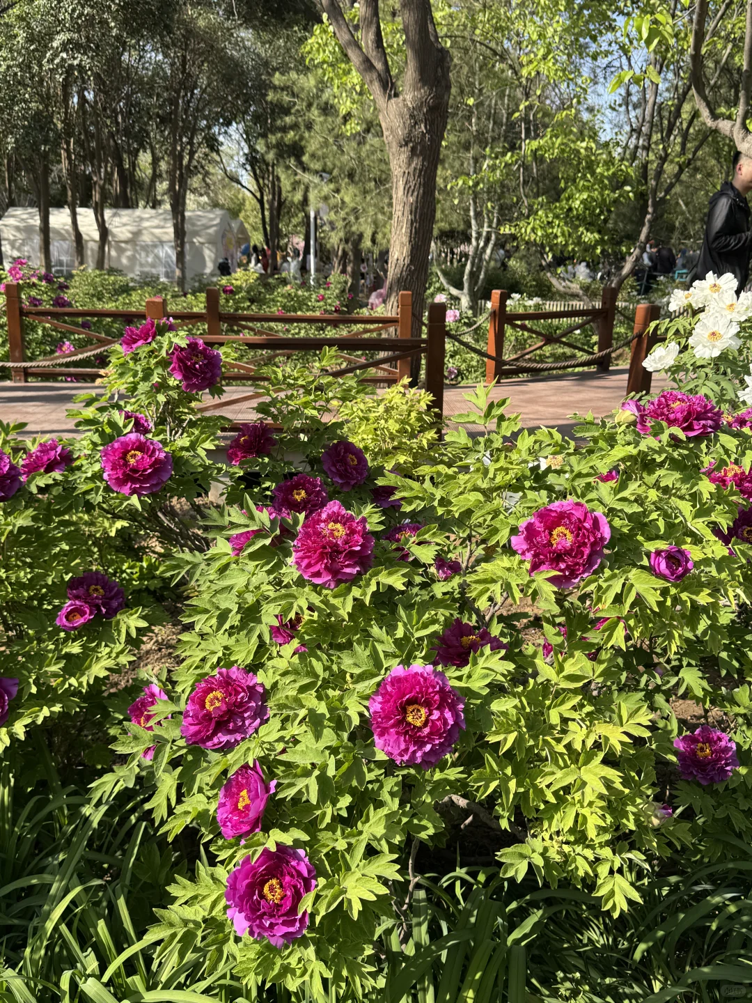 洛阳地陪|有空就接