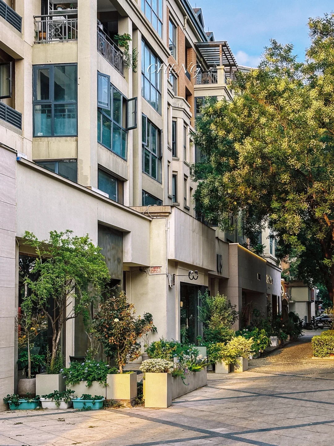 到欧洲了，跟郑州似的..