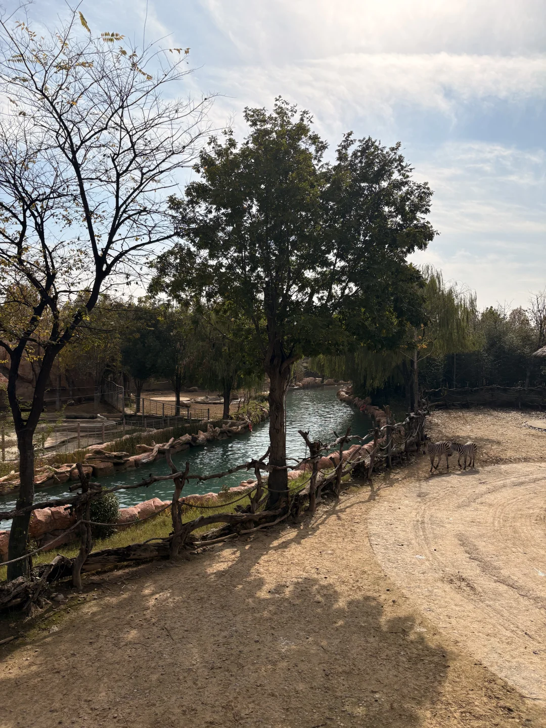 强烈推荐银基动物王国！！！