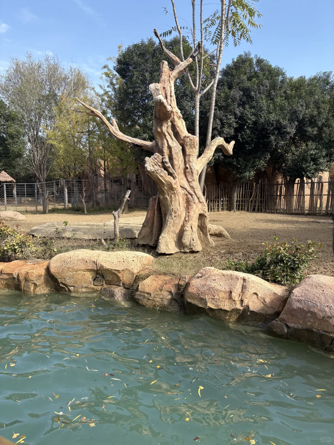 强烈推荐银基动物王国！！！