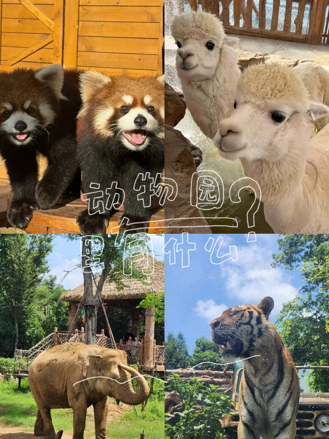 📍银基 不愧是郑州迪士尼‼️