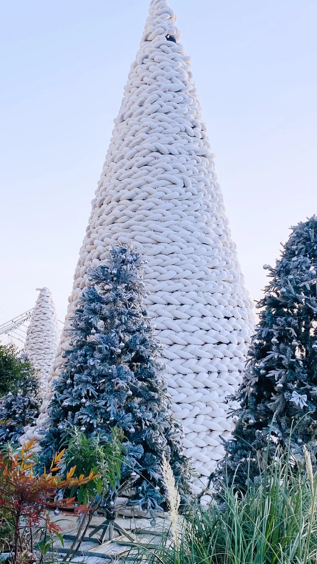 郑州金融岛的圣诞树🎄美得不像话，快来看