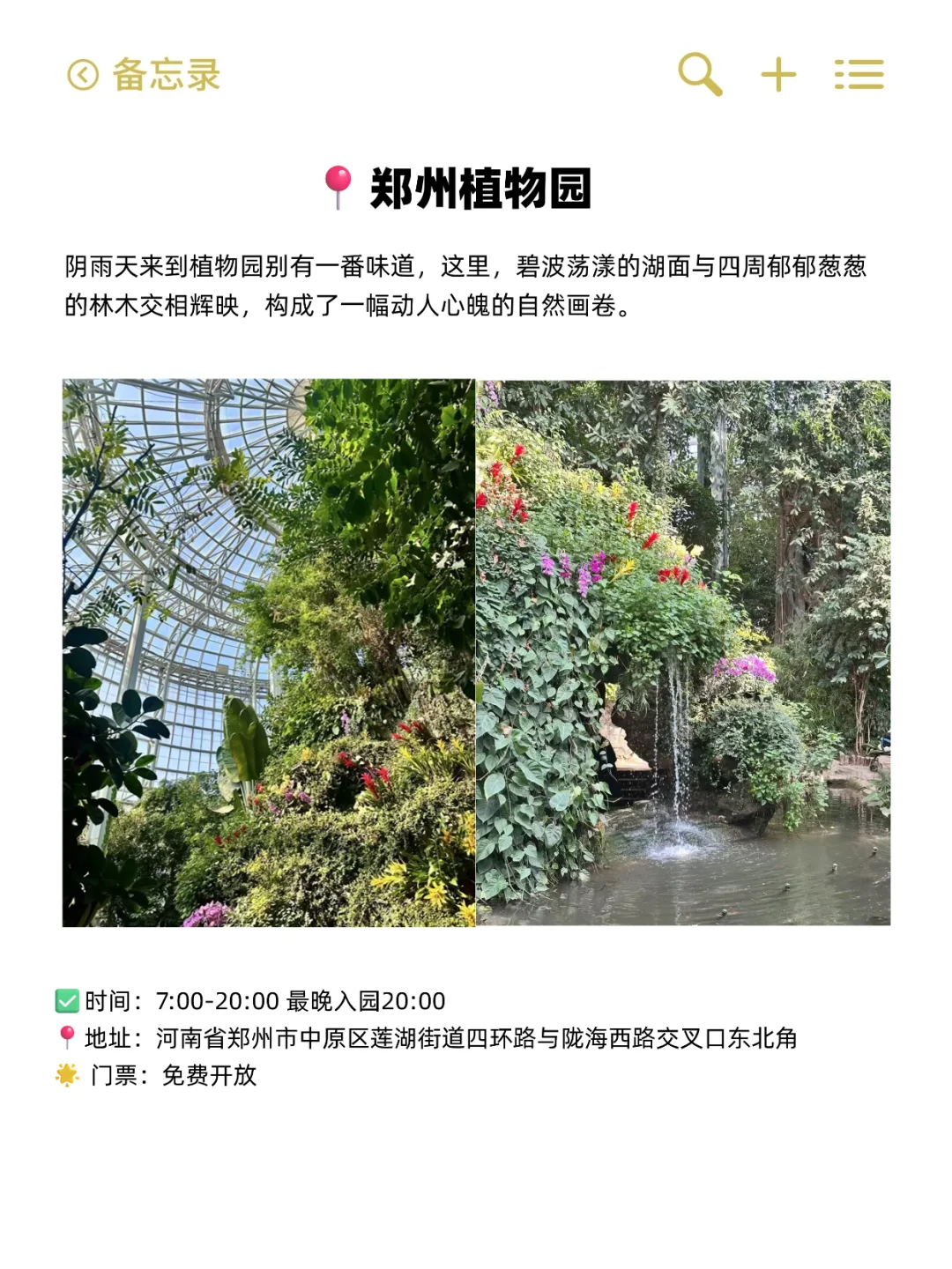 郑州地铁直达！适合一个人逛的6个免费场馆