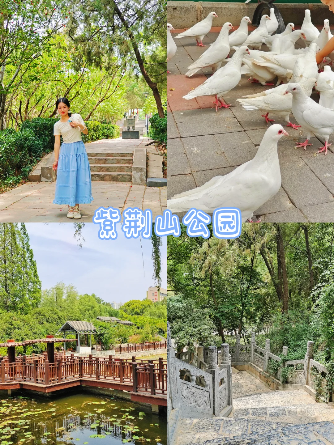 一个人游郑州📍两天逛吃攻略路线直接抄走