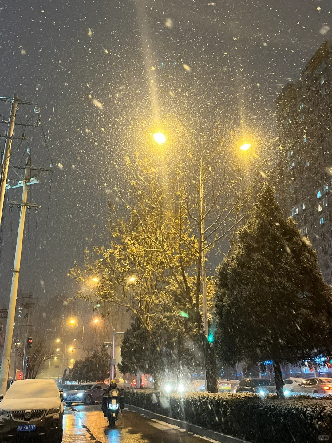 2025.11.17郑州初雪❄️暴雪来了