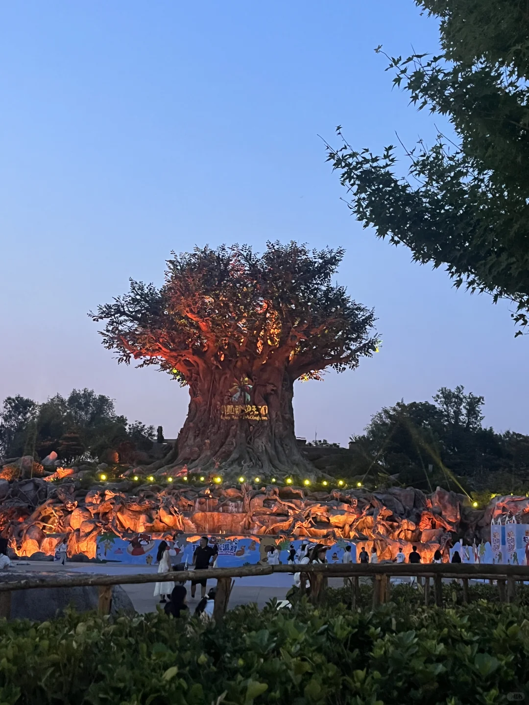 🔥郑州银基动物王国｜暴走2万步总结！