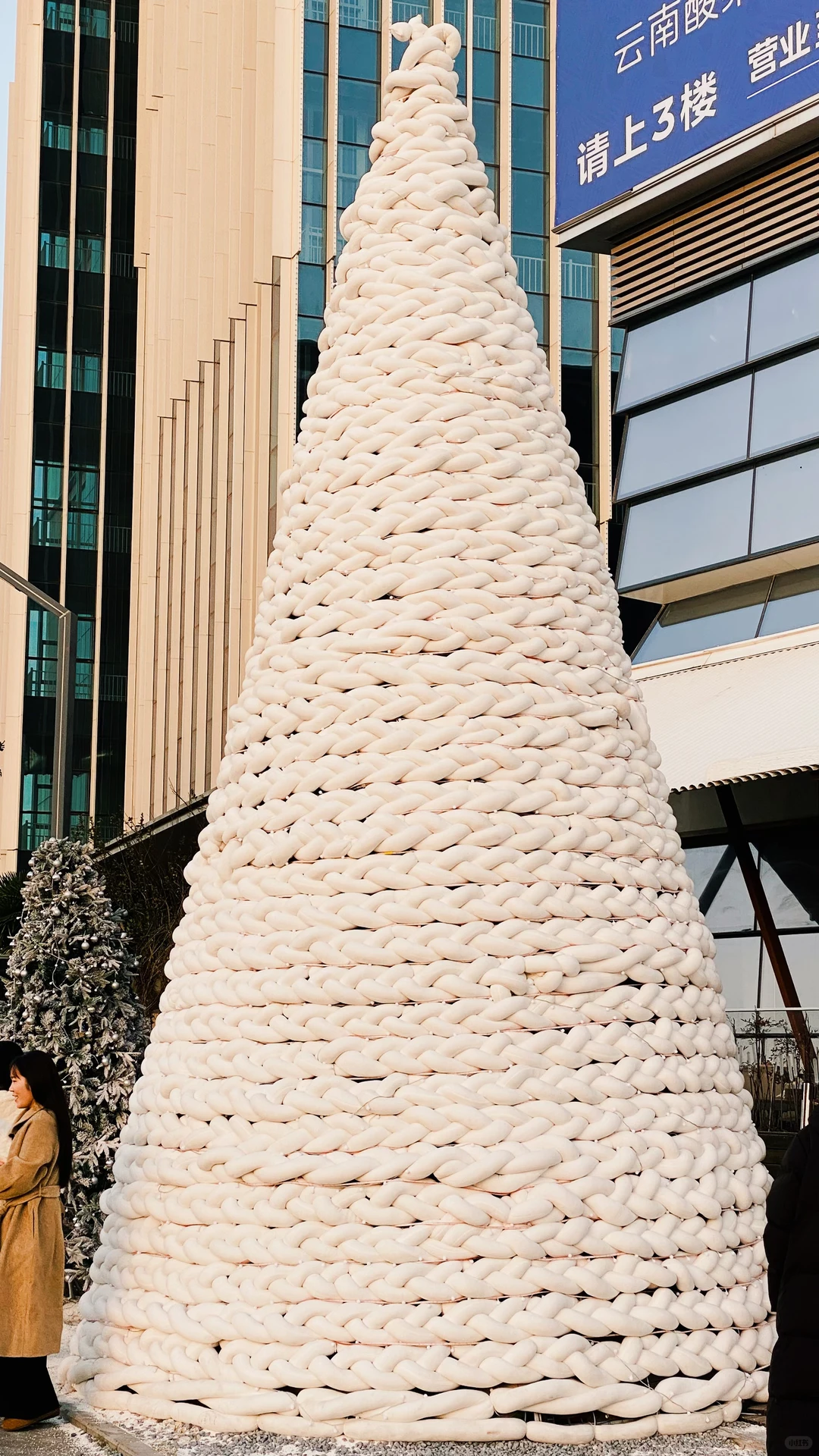 郑州金融岛的圣诞树🎄美得不像话，快来看