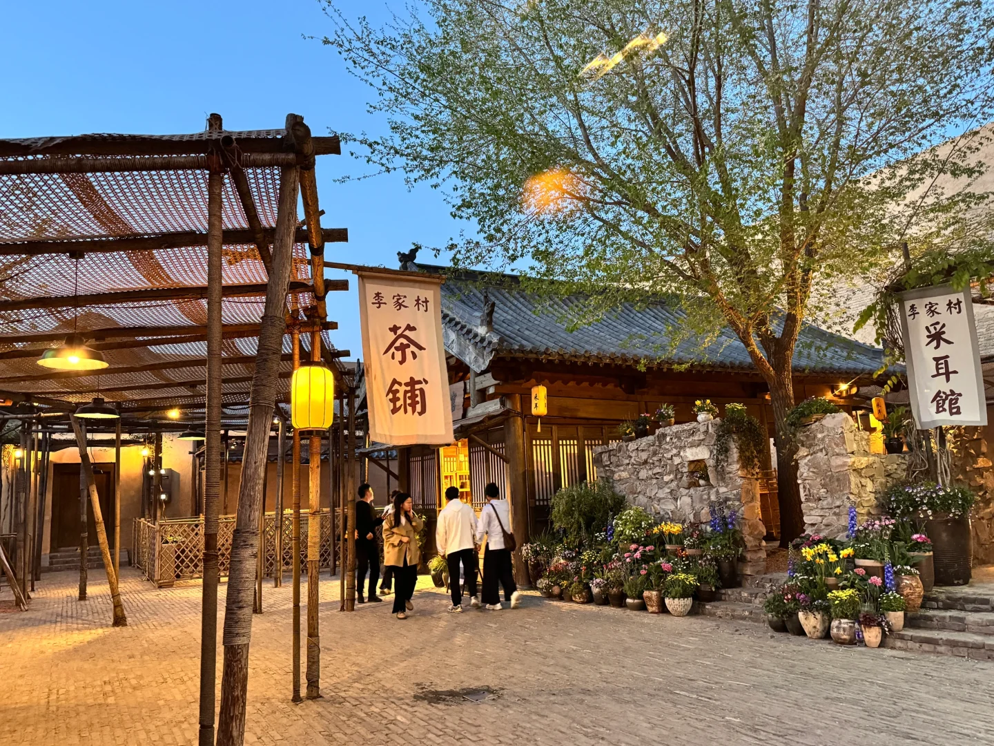 🏷️｜关于郑州