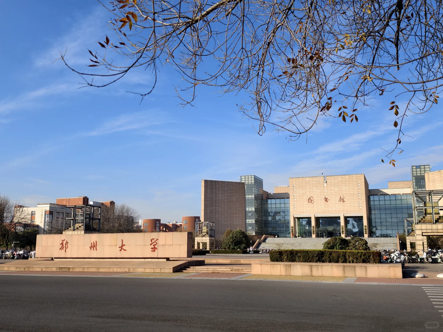 真的很喜欢郑州🥰