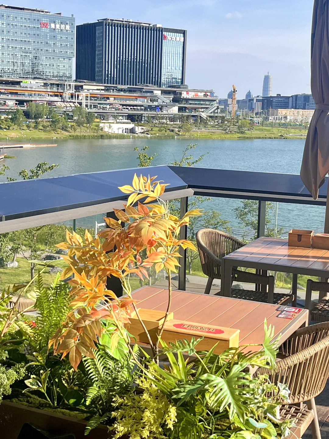 📍郑州|大学生三天两晚特种兵超全旅游攻略